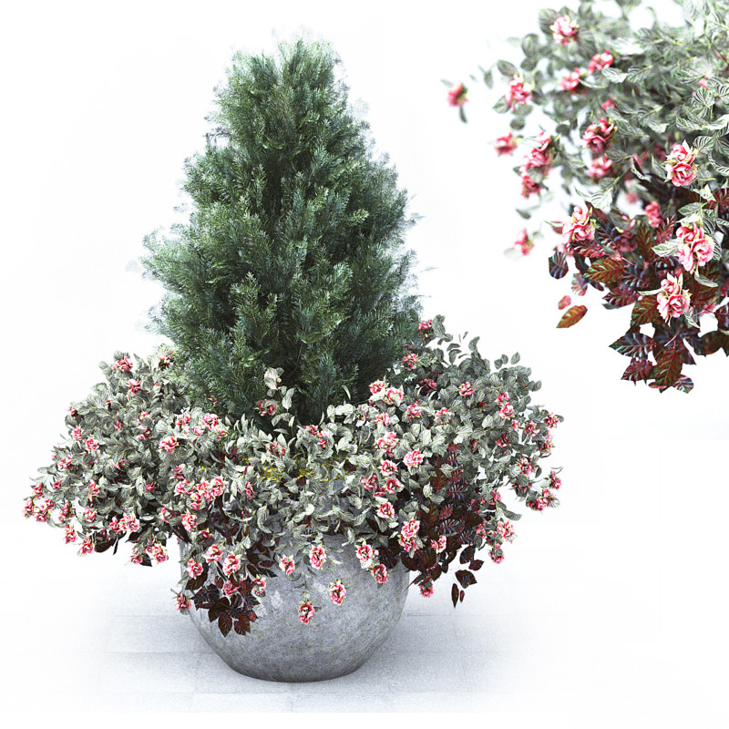 Plants Outdoor 3D Modell .c4d .max .obj .3ds .fbx .stl .blend