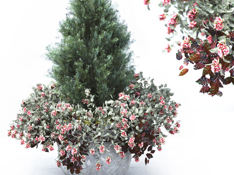 Plants Outdoor 3D Model