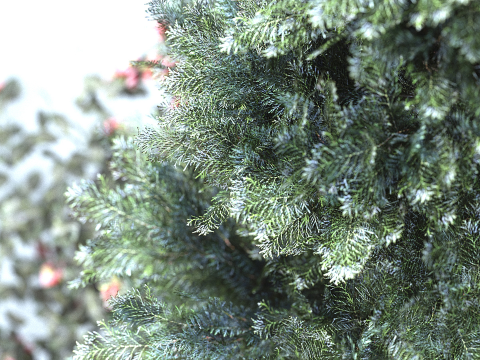 Plants Outdoor 3D Modell