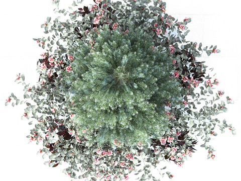 Plants Outdoor 3D Modell