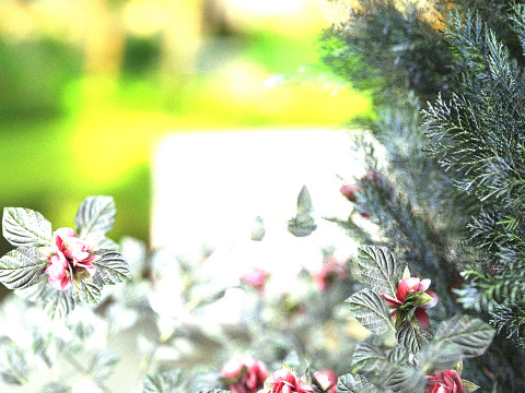 Plants Outdoor 3D Modell