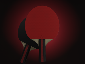 Joola Rosskopf TT racket 3D 模型