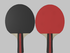 Joola Rosskopf TT racket 3D 模型