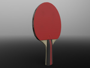 Joola Rosskopf TT racket 3D 模型