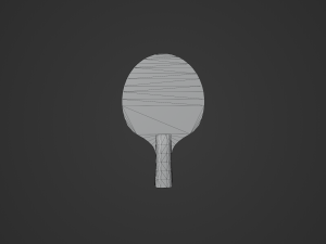 Joola Rosskopf TT racket 3D 模型