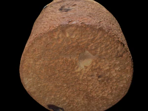 Torta di Pasqua Modello 3D