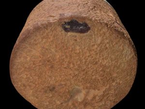 Torta di Pasqua Modello 3D