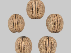 Walnuts 3D Model