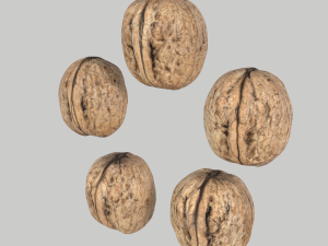 Walnuts 3D Model