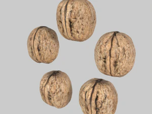 Walnuts 3D Model