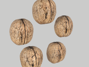 Walnuts 3D Model