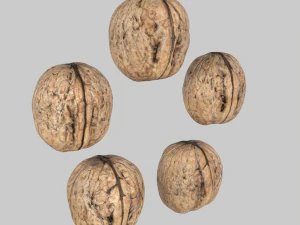 Walnuts 3D Model