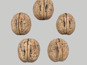 Walnuts 3D Model