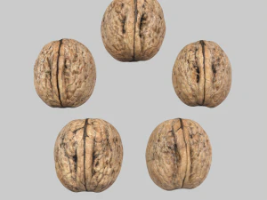 Walnuts 3D Model