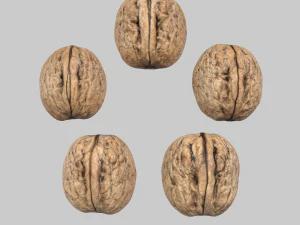 Walnuts 3D Model