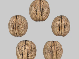 Walnuts 3D Model