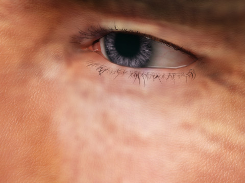 Arnold Schwarzenegger 3D 模型