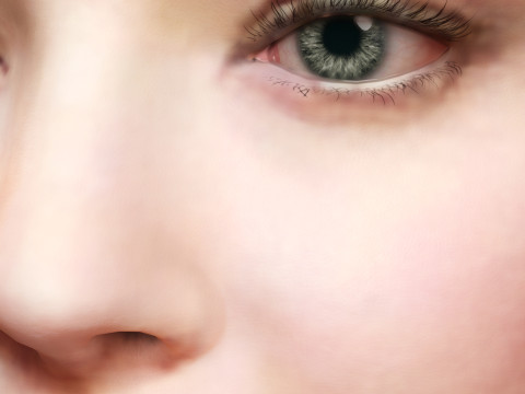 Amanda Seyfried Model 3D