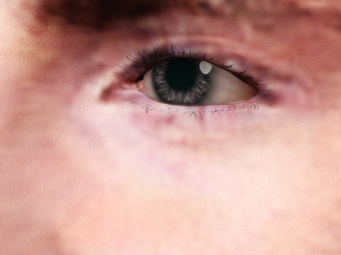 Chris Evans 3D Model