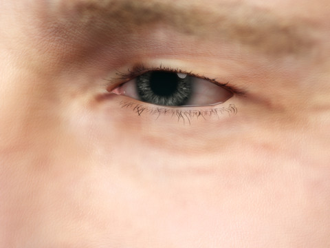Brad Pitt Model 3D