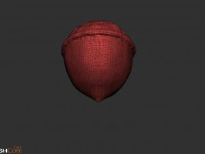 Желудь 3D Модель