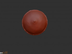 Acorn Model 3D