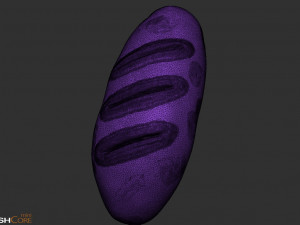 Bread 3D-Modell