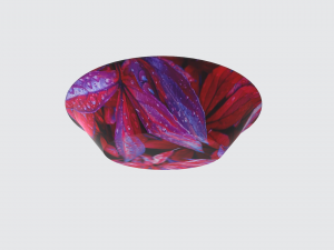 A set of plates 11 Model 3D