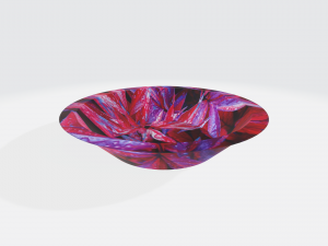 A set of plates 11 Model 3D