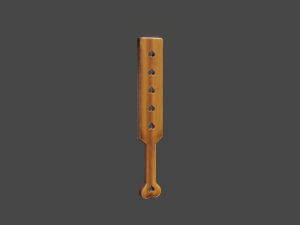 Paddles Collection 3D Model