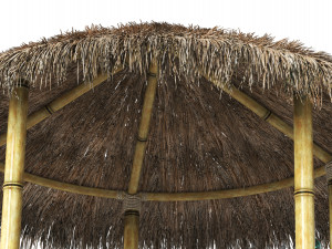 Bar Giraffes 3D Model