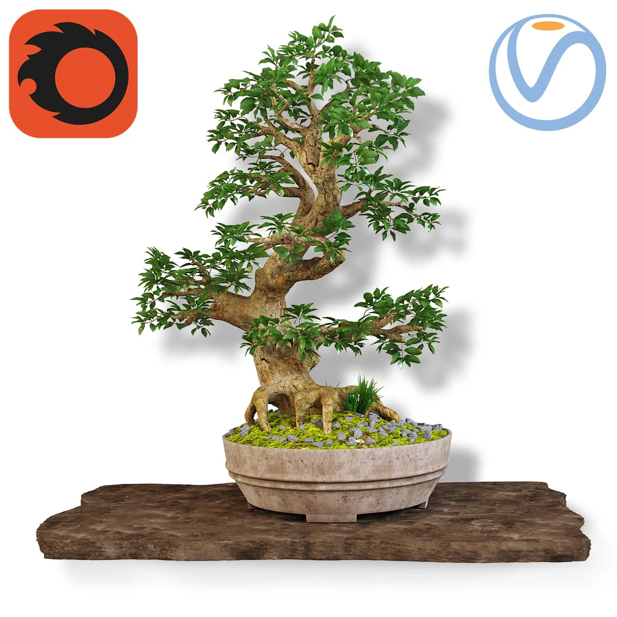 Bonsai 3D Model .c4d .max .obj .3ds .fbx .stl .blend 