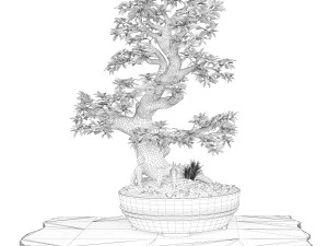 Bonsai 3D Model