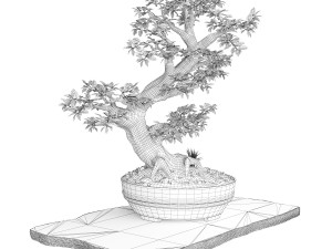 Bonsai Modèle 3D