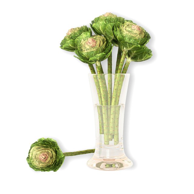 Brassica Modello 3D .c4d .max .obj .3ds .fbx .stl .blend 