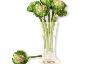 Brassica 3D Model