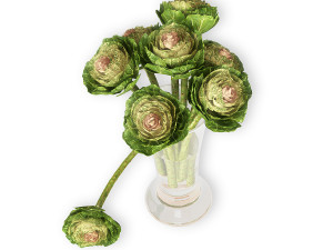 Brassica Modello 3D