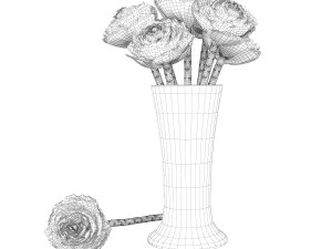 Brassica Modello 3D