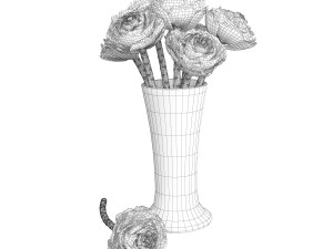 Brassica Modello 3D