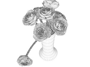 Brassica Modello 3D