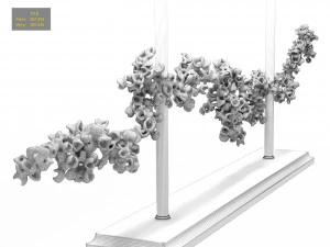 Coral console lamp 3D Model