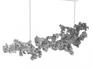 Coral pendant 3Dモデル