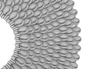 Cowry Shell Ring Decor 3D Model