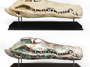 Crocodile Skull 3D Model