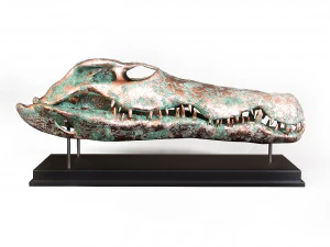 Cr&acirc;nio de Crocodilo Modelo 3D