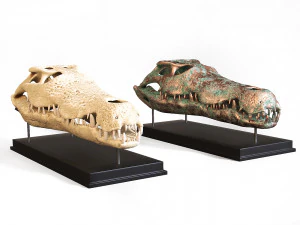 Cr&acirc;nio de Crocodilo Modelo 3D