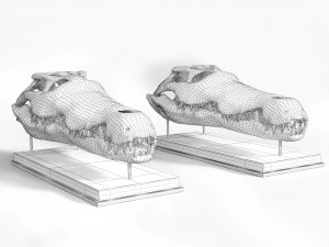 Cr&acirc;nio de Crocodilo Modelo 3D
