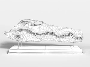 Cr&acirc;nio de Crocodilo Modelo 3D