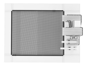 Swimming pool with a trampoline Model 3D