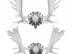 Elk antlers 3D 模型